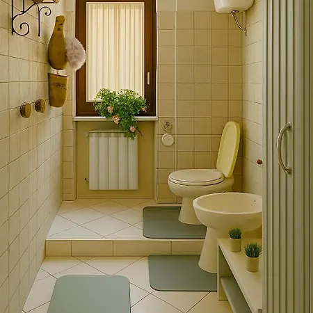 Leonardo Da Vinci Vicinissimo Clinica L'immacolata Celano